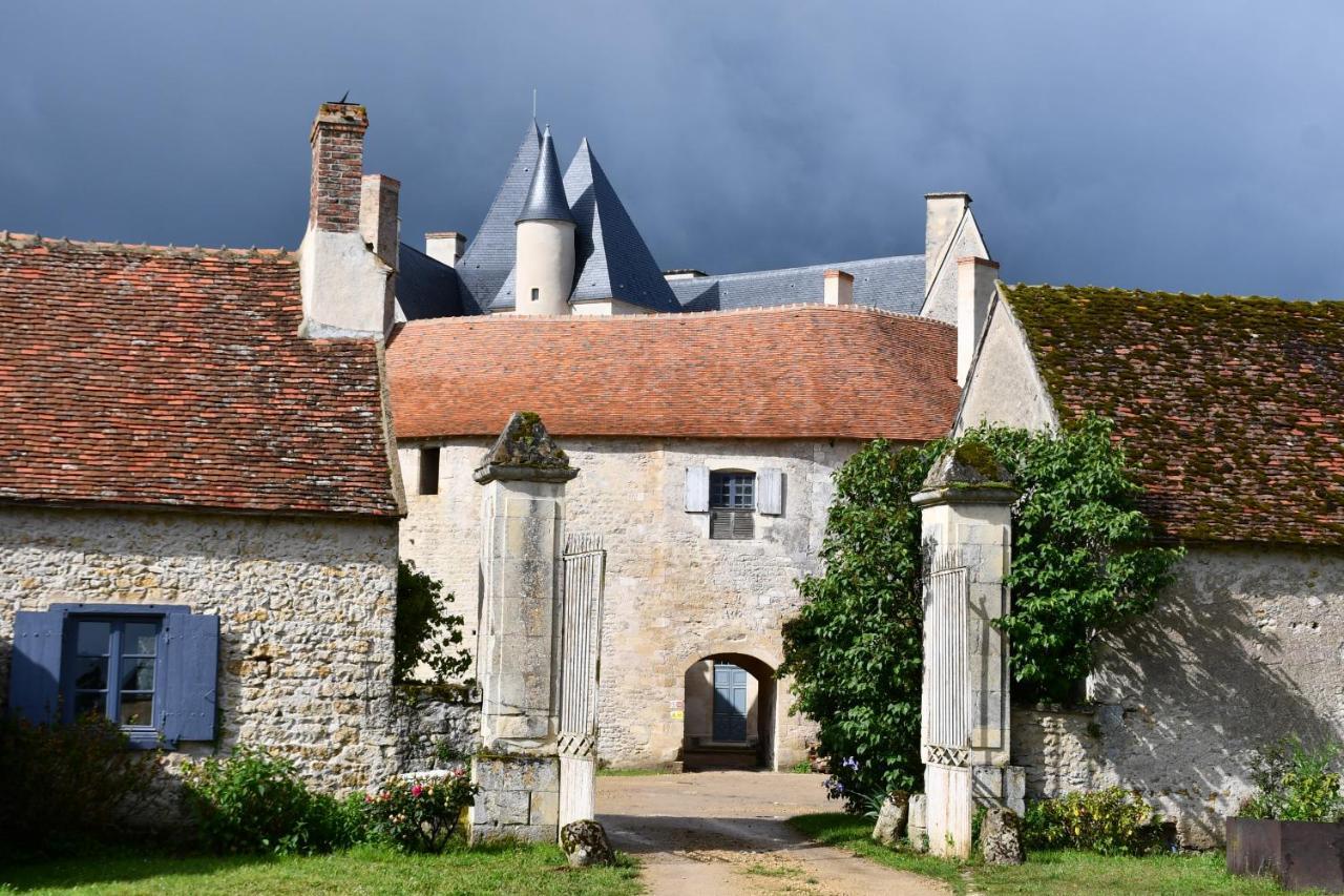 Un Chateau En Bourgogne Saincaize-Meauce エクステリア 写真