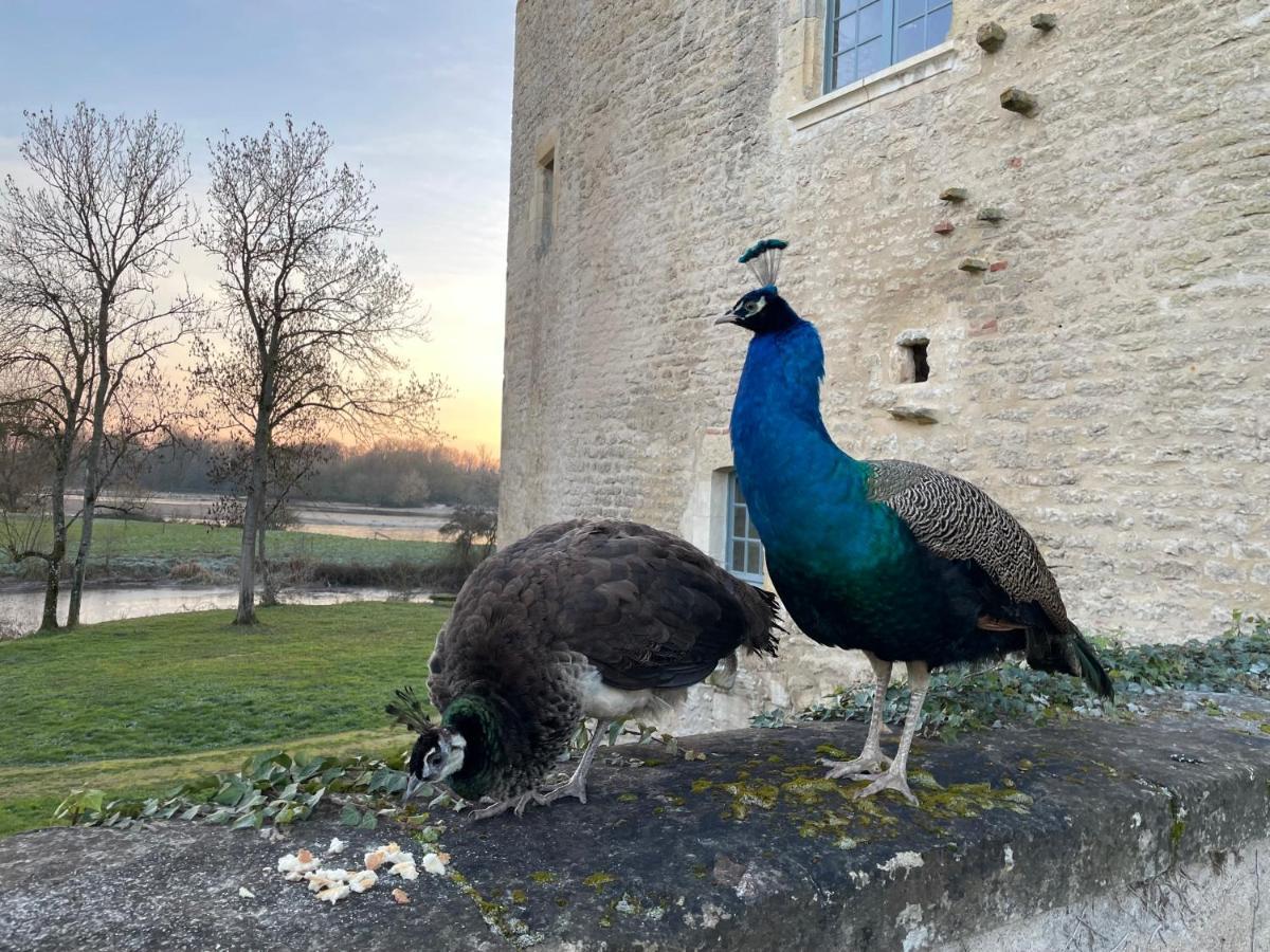 Un Chateau En Bourgogne Saincaize-Meauce エクステリア 写真